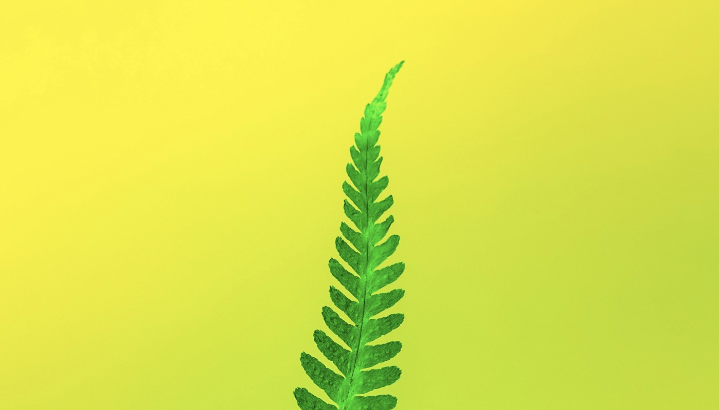 Test2